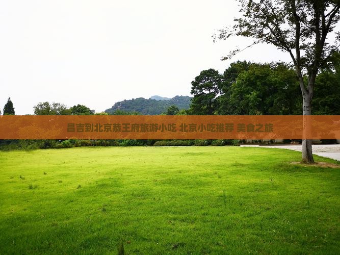 昌吉到北京恭王府旅游小吃