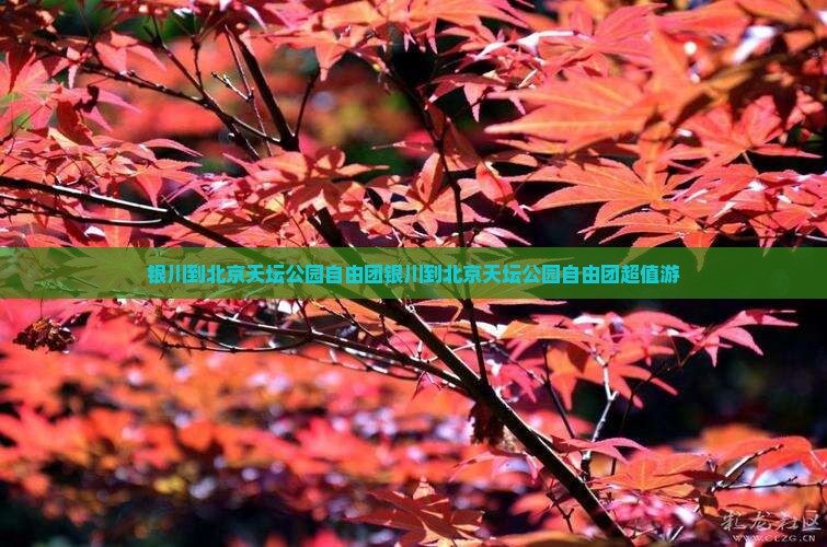 银川到北京天坛公园自由团