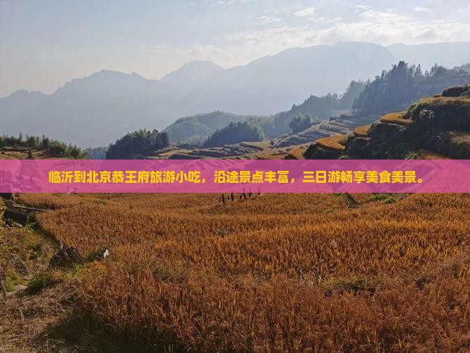 临沂到北京恭王府旅游小吃