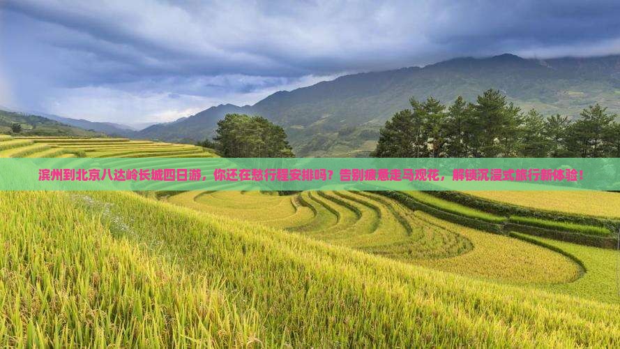 滨州到北京八达岭长城四日游