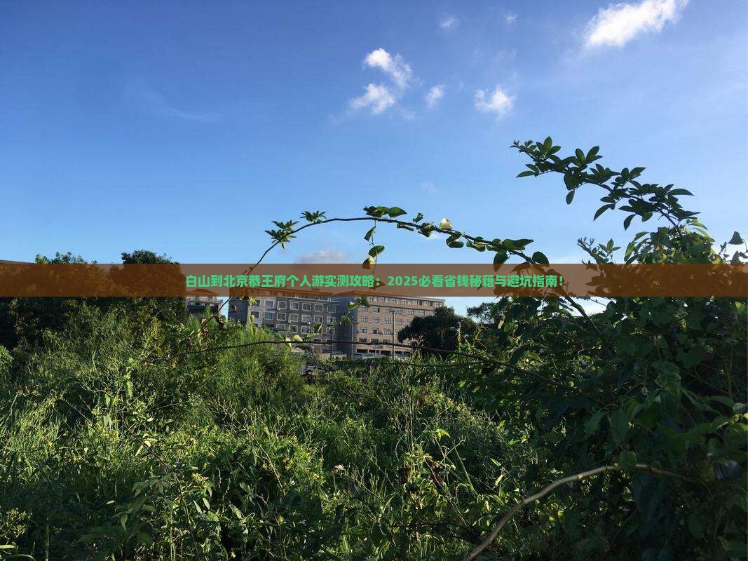 白山到北京恭王府个人游
