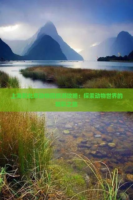 上海到北京动物园自由团