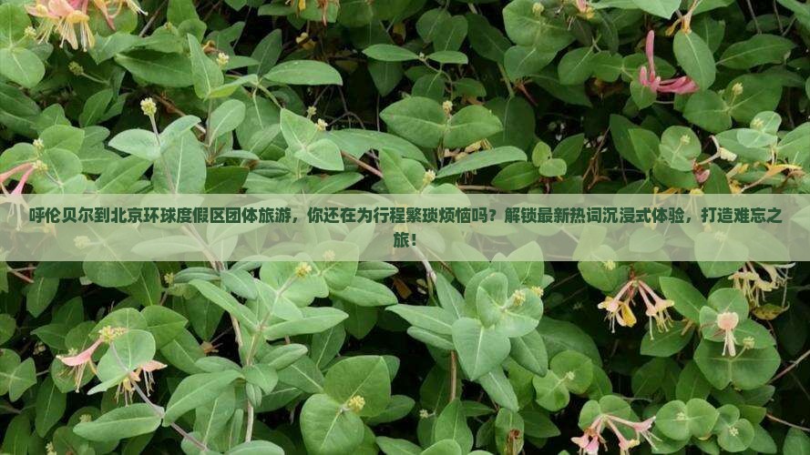 呼伦贝尔到北京环球度假区团体旅游
