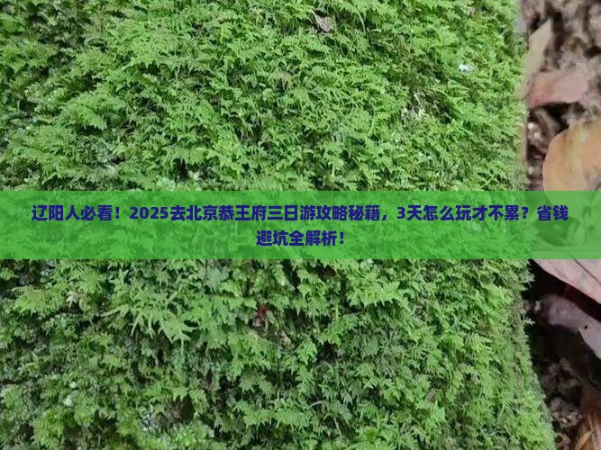 辽阳去北京恭王府三日游