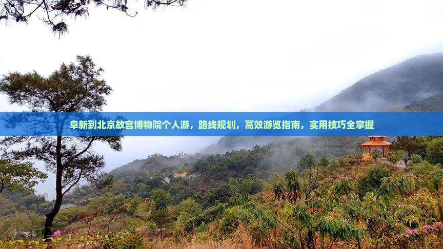 阜新到北京故宫博物院个人游
