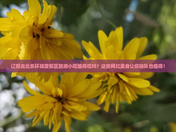 辽阳去北京环球度假区旅游小吃