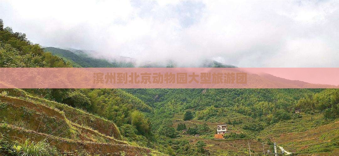 滨州到北京动物园大型旅游团