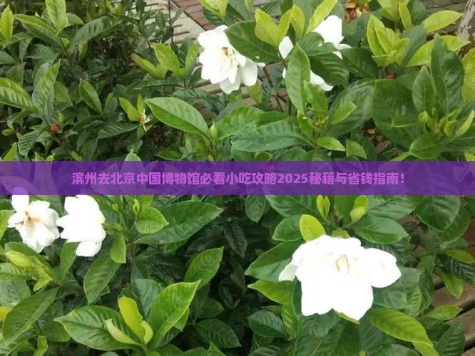 滨州去北京中国国家博物馆旅游小吃