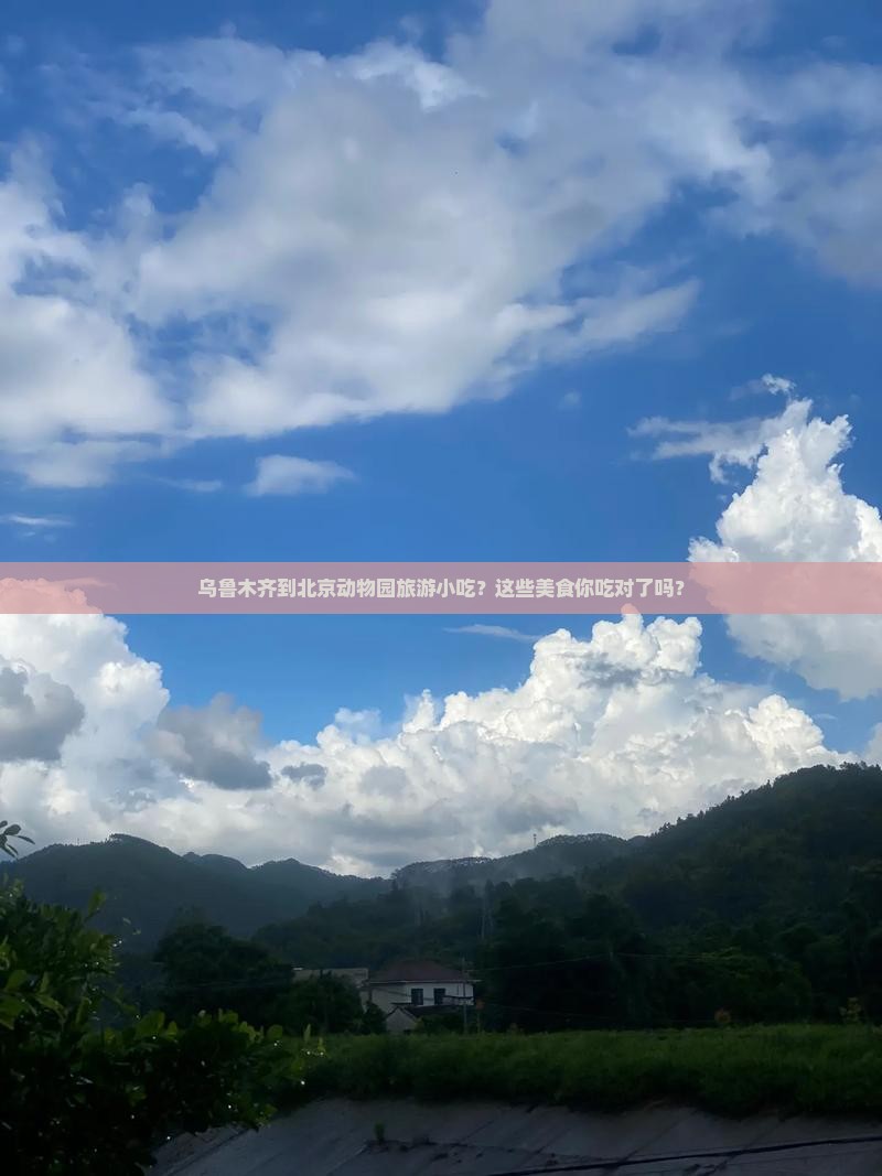 乌鲁木齐到北京动物园旅游小吃