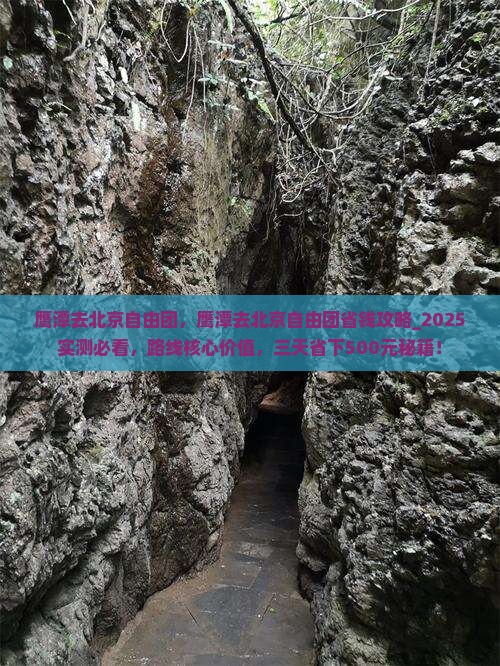 鹰潭去北京自由团