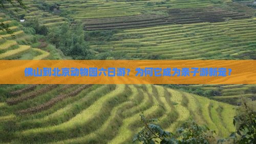 佛山到北京动物园六日游