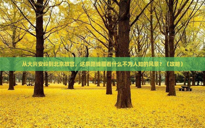 大兴安岭去北京故宫博物院必去地