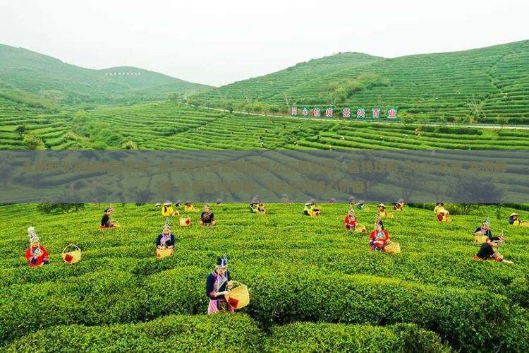 永州到北京动物园攻略