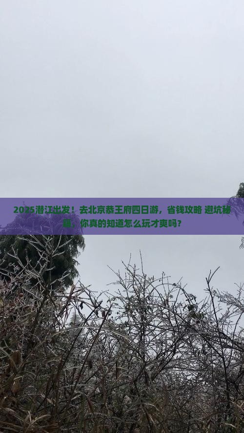 潜江去北京恭王府四日游