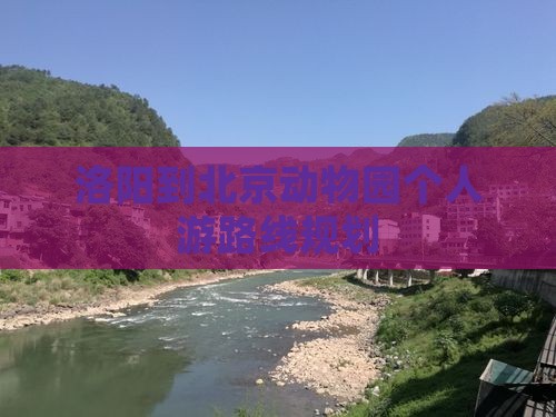 洛阳到北京动物园个人游