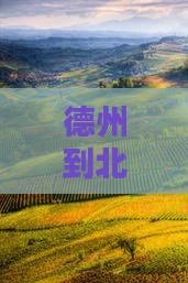 德州到北京环球度假区自由团