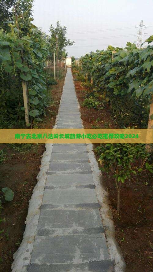 南宁去北京八达岭长城旅游小吃