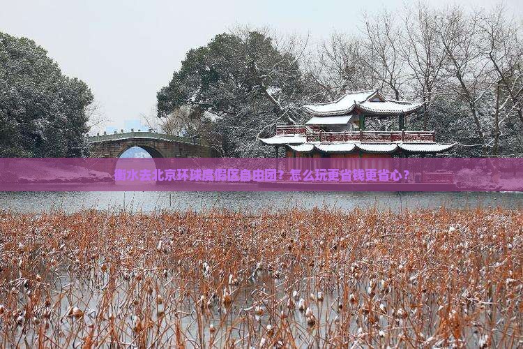 衡水去北京环球度假区自由团