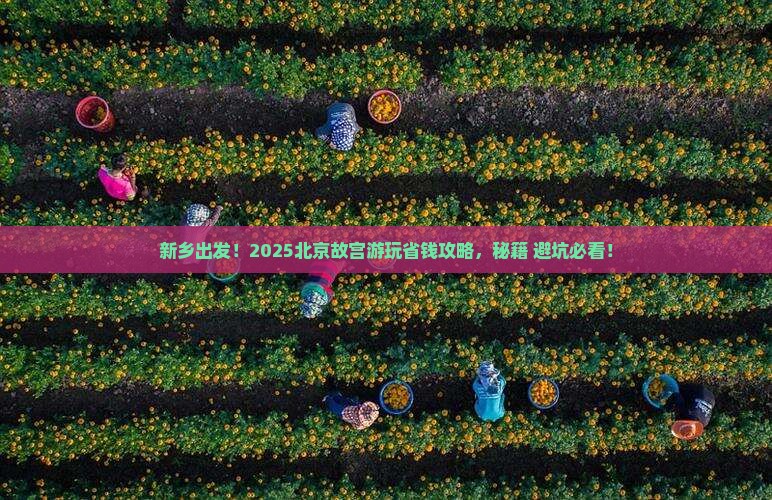 新乡去北京故宫博物院旅行社