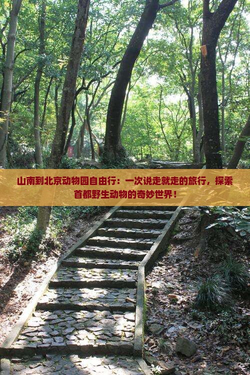 山南到北京动物园自由行