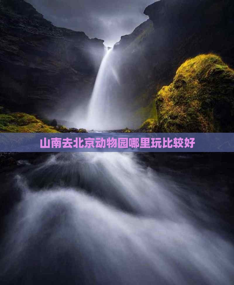 山南去北京动物园哪里玩