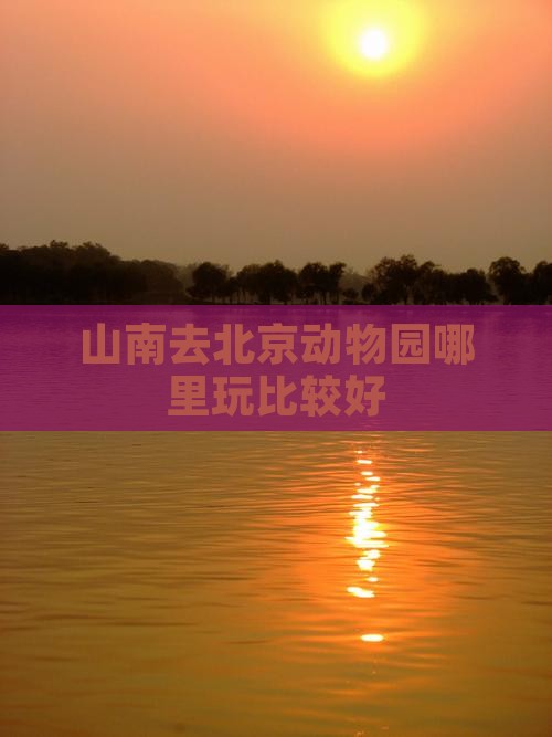 山南去北京动物园哪里玩