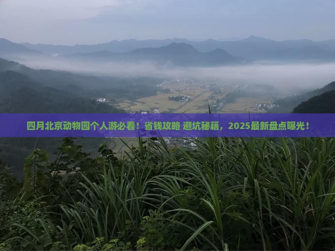 四月去北京动物园个人游