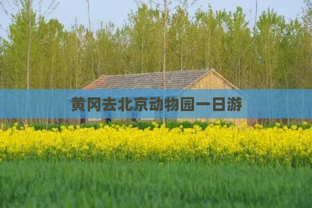 黄冈去北京动物园一日游