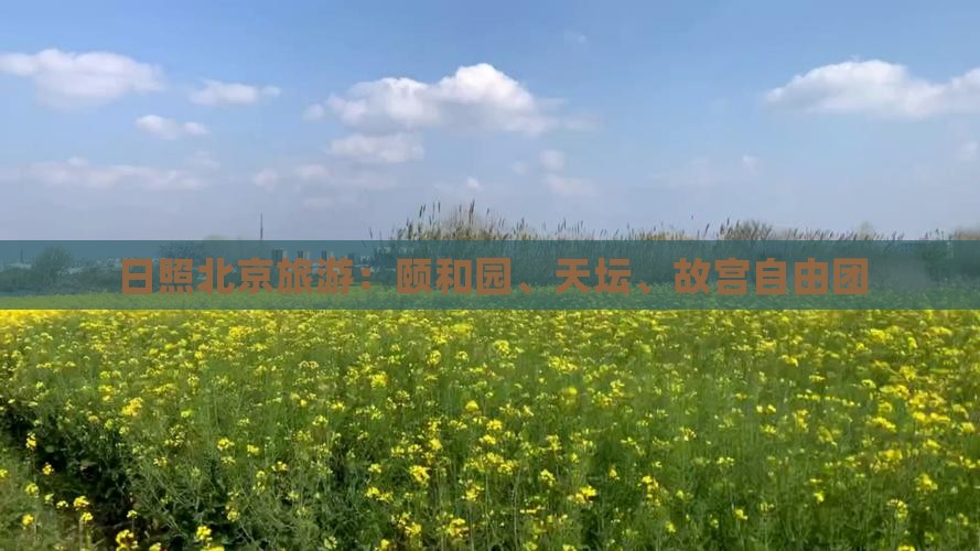 日照去北京颐和园自由团