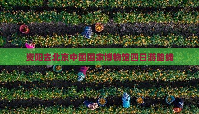 资阳去北京中国国家博物馆四日游