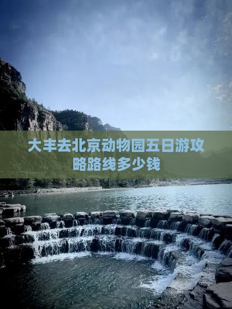 大丰去北京动物园五日游