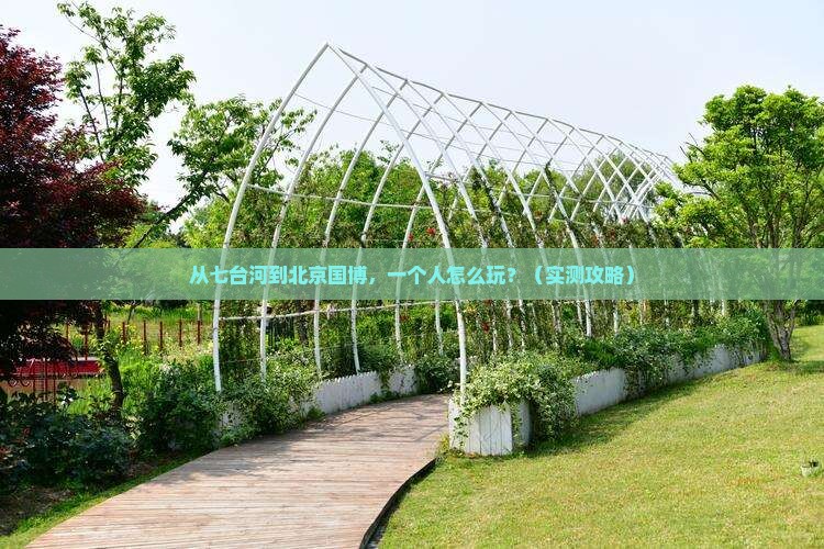 七台河到北京中国国家博物馆个人游