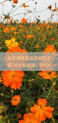 自贡到北京故宫博物院必去地