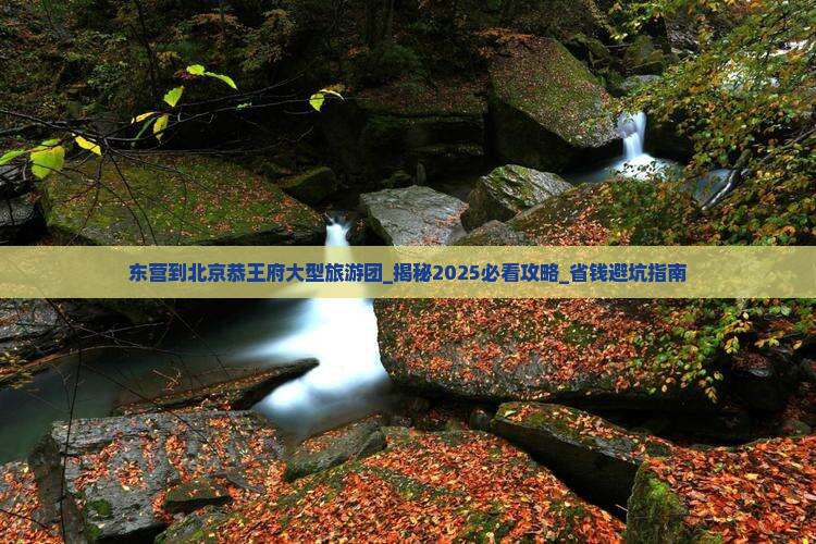 东营到北京恭王府大型旅游团
