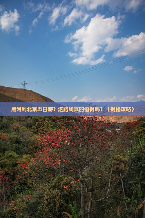 黑河到北京五日游