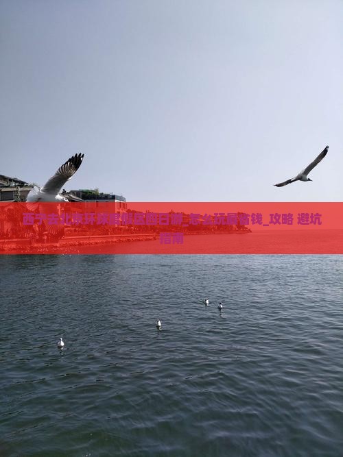 西宁去北京环球度假区四日游