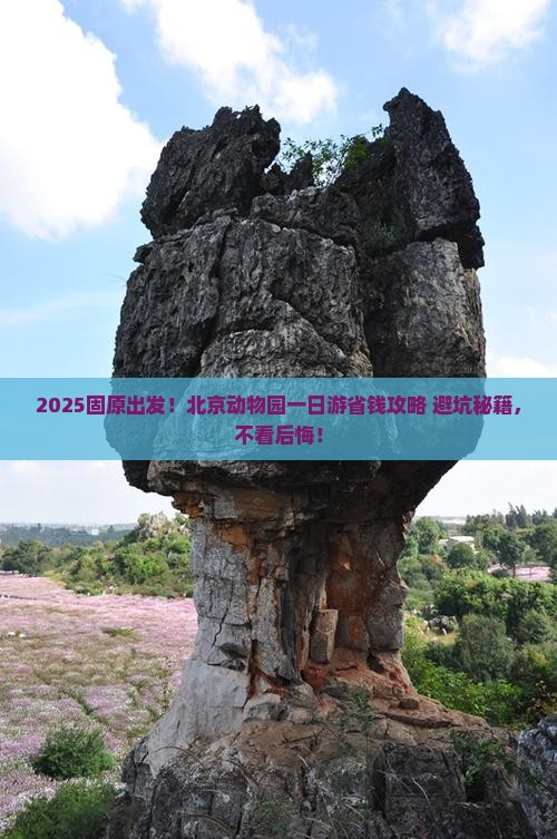 固原去北京动物园一日游