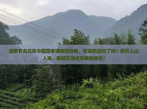 清明节去北京中国国家博物馆攻略