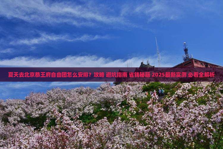 夏天去北京恭王府自由团