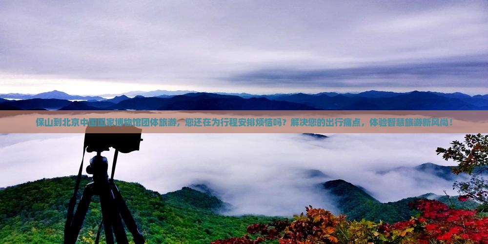 保山到北京中国国家博物馆团体旅游
