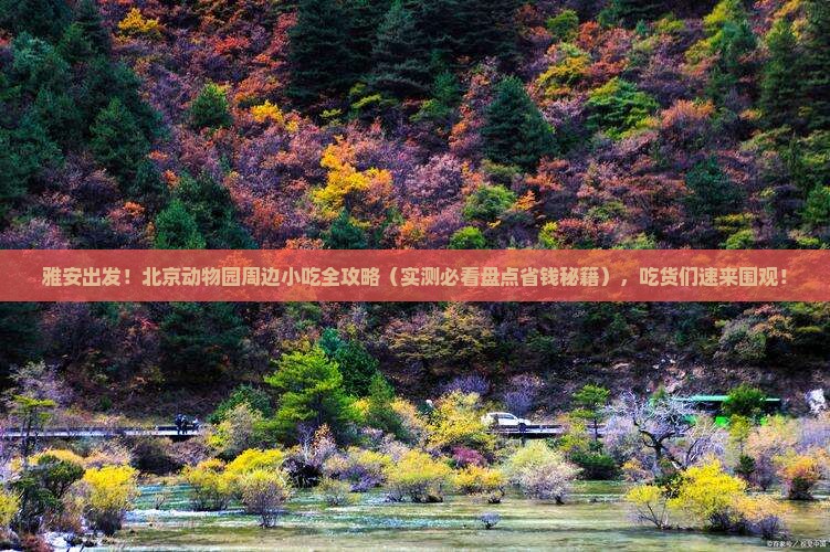 雅安到北京动物园旅游小吃