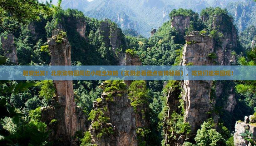 雅安到北京动物园旅游小吃