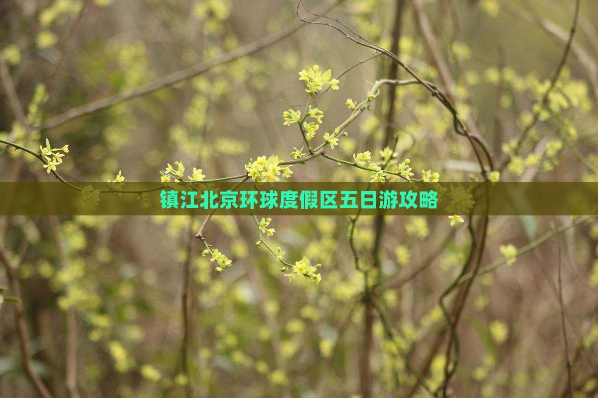 镇江去北京环球度假区五日游