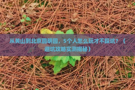 黄山到北京圆明园遗址公园团体旅游