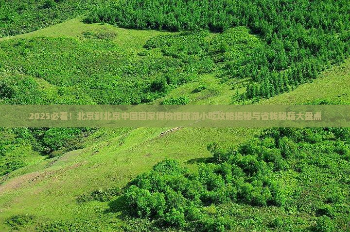 北京到北京中国国家博物馆旅游小吃