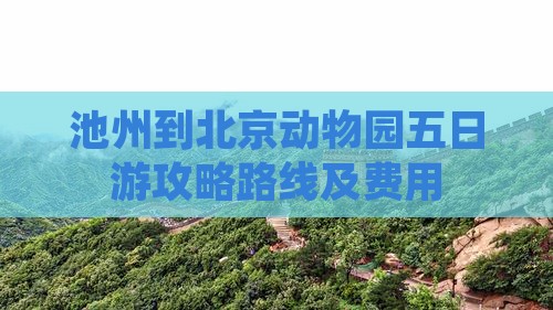 池州到北京动物园五日游