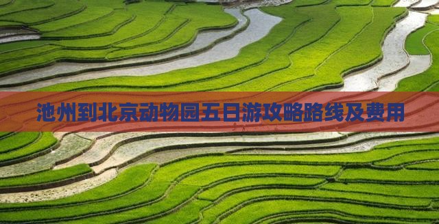 池州到北京动物园五日游