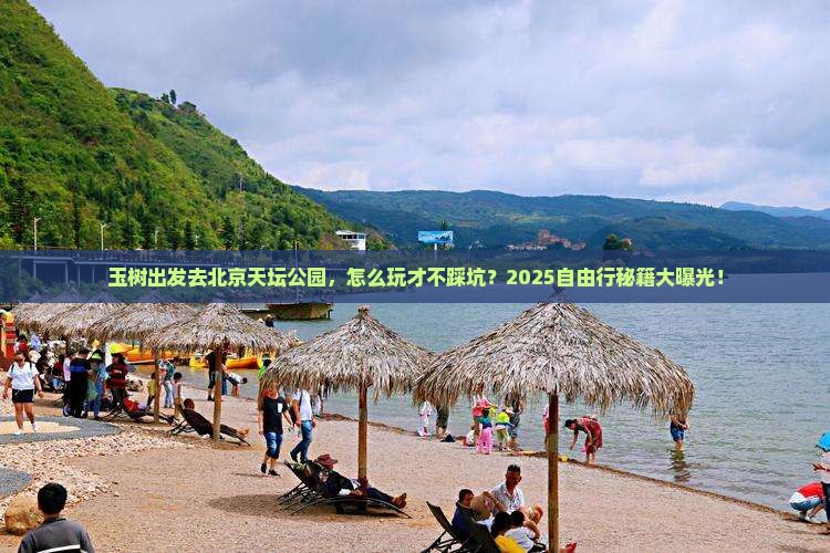 玉树到北京天坛公园自由行