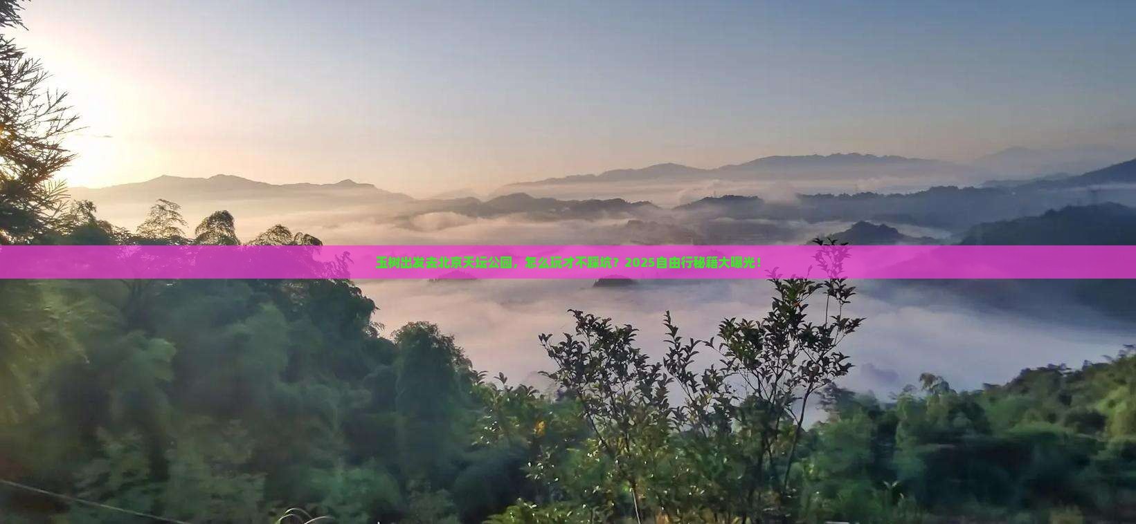 玉树到北京天坛公园自由行