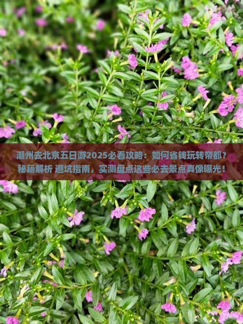 潮州去北京五日游